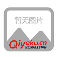 09年春夏休閑情侶裝，運(yùn)動(dòng)時(shí)尚裝，征全國(guó)各地批發(fā)商